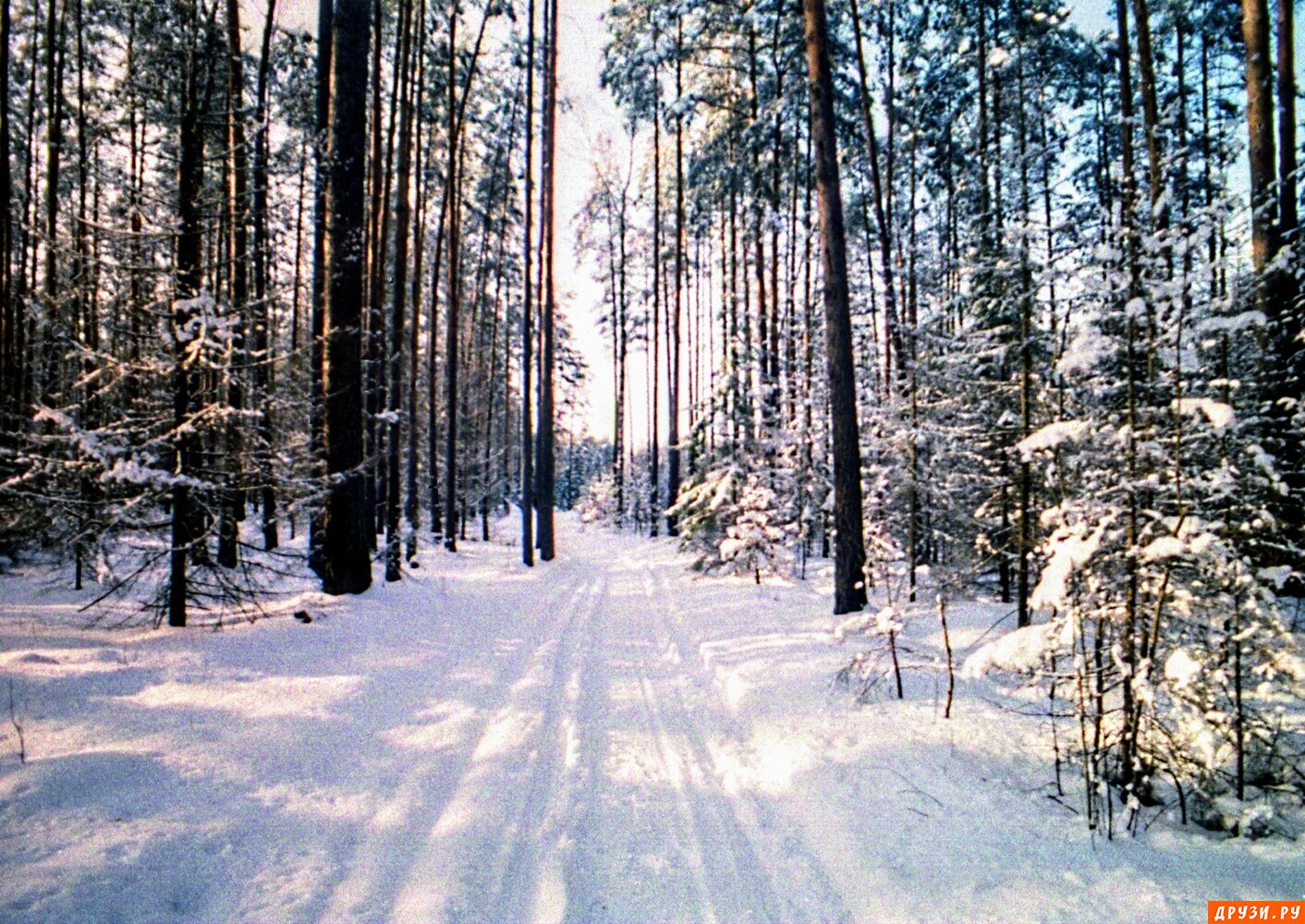 Дорога в зимнем лесу.